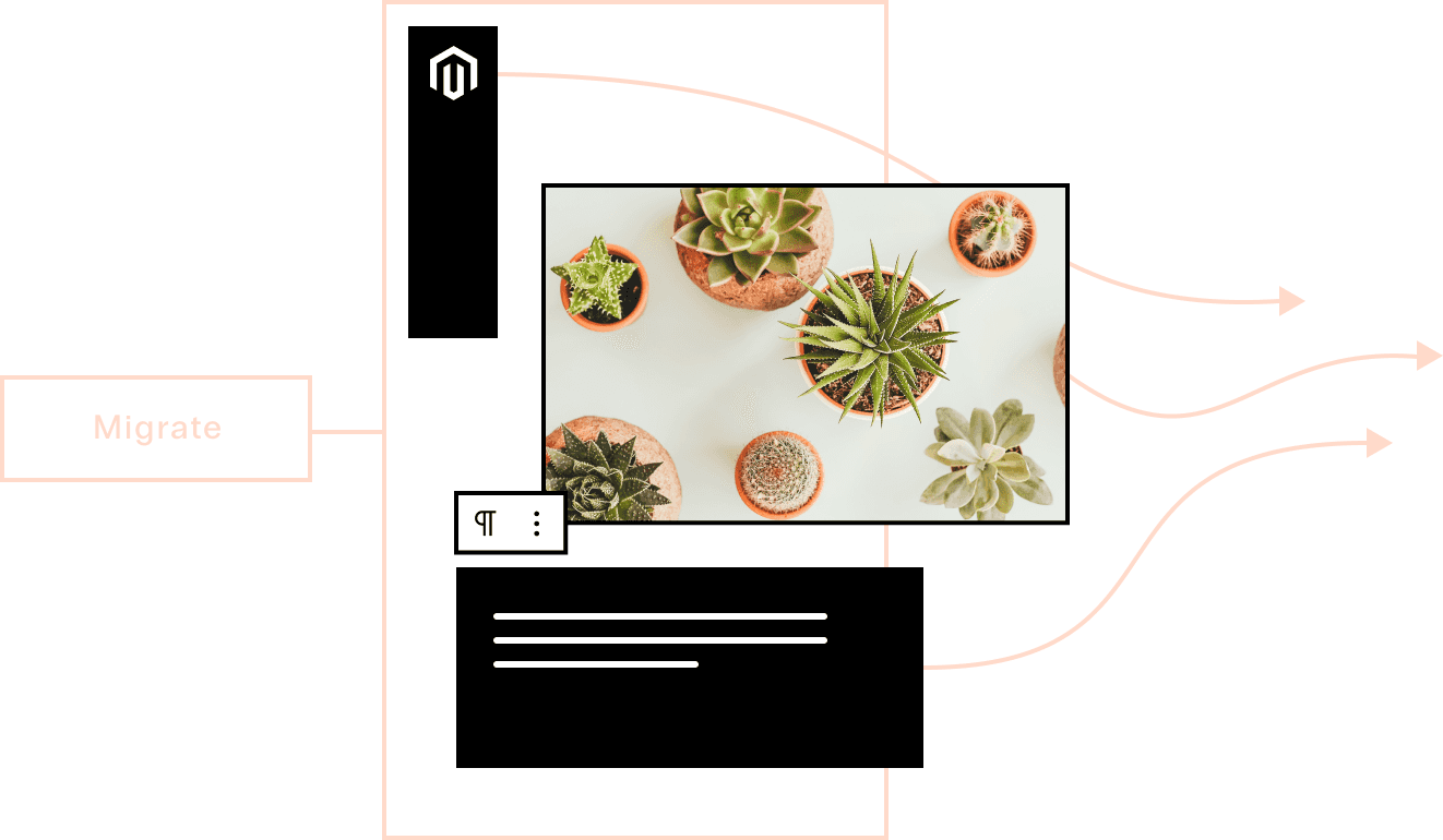 A migrate button shows Magento UI, code, and cactus products for an online store, arrows point onwards to better Magento hosting